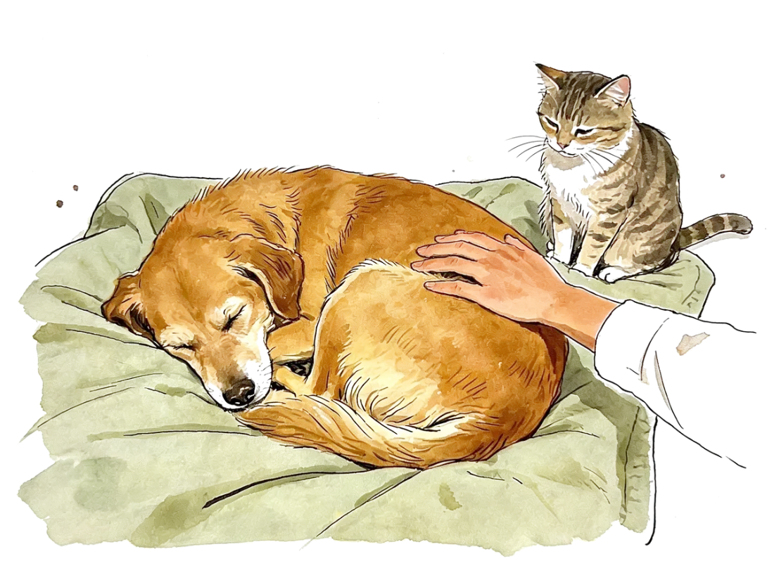 Ink and watercolor vignette of an old dog asleep on a blanket with a hand resting on its side and a cat sitting nearby
